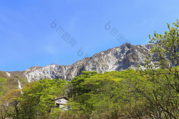 山大仙采用托托里。地方官的任期,黑色亮漆.