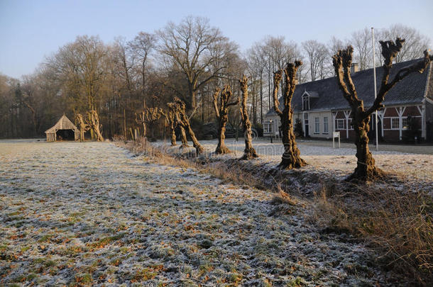 荷兰人的冬园林景观