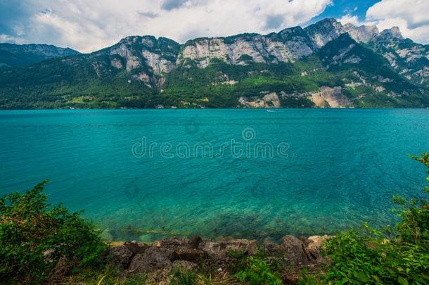 风景优美的来自瑞士的湖布里安兹湖