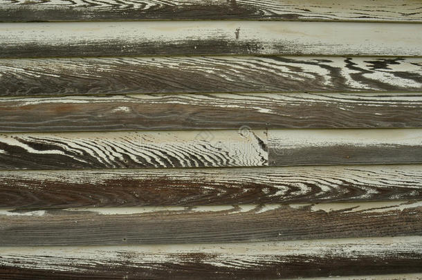 风化的木材谷物剥皮白色的颜料
