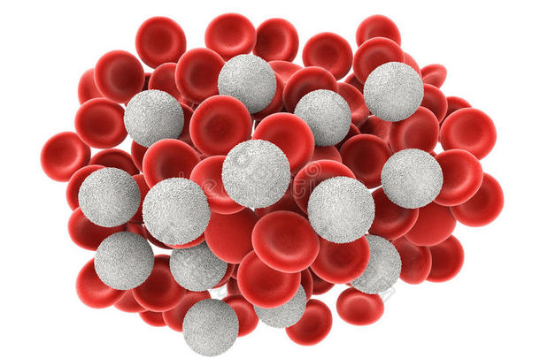 白色的血细胞和红色的血细胞