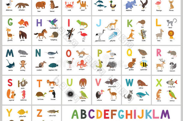 漂亮的矢量动物园字母表.alphabet字母表动物