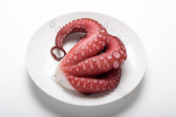 日本人生鱼片-所以章鱼