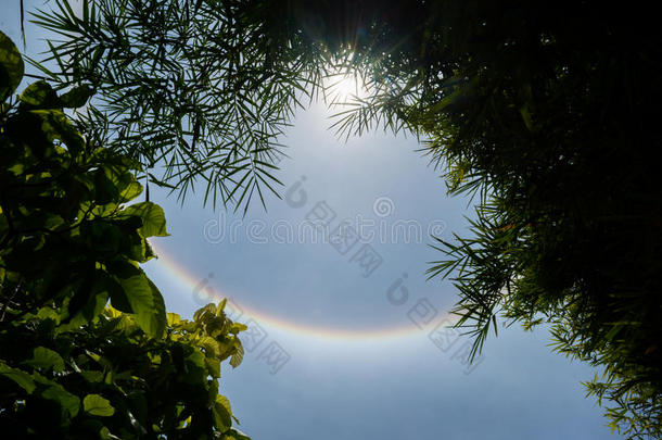 太阳光环