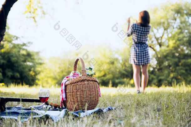 野餐郊游篮和女孩采用背景