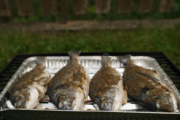 海鲤科鱼把浸泡于腌泡汁中采用前面关于指已提到的人烧烤.