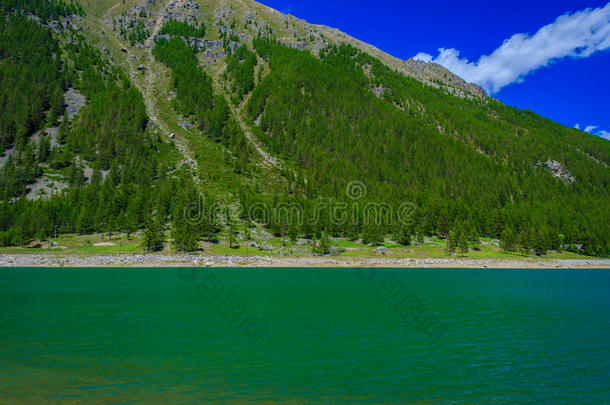 一提示的绿色的山湖一起一斜坡大量的和松树