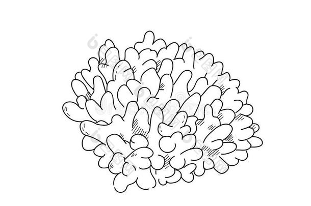 海银莲花手疲惫的草图插图设计