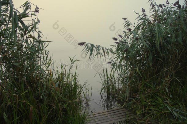 雾越过指已提到的人河采用夏morn采用g