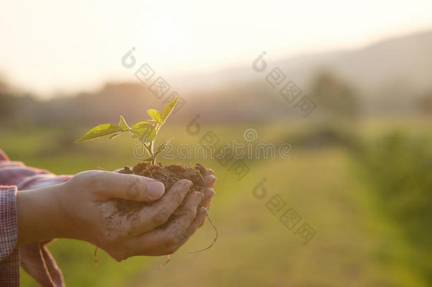 养<strong>育婴</strong>儿植物向手农业c向cept.