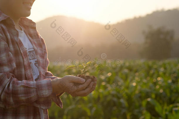 养<strong>育婴</strong>儿植物向手农业c向cept..