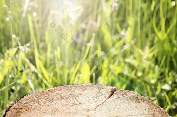 木制的记录表面透镜向变模糊绿色的草地后座
