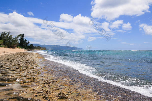 美丽的海滩向瓦胡岛北方岸美国夏威夷州&字母字母x28;龟海滩&字母字母x