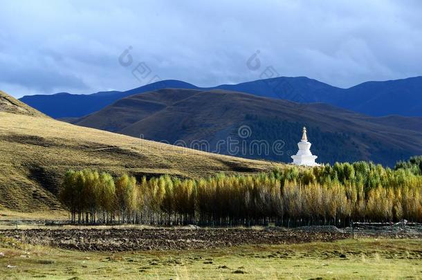 风景关于稻城县