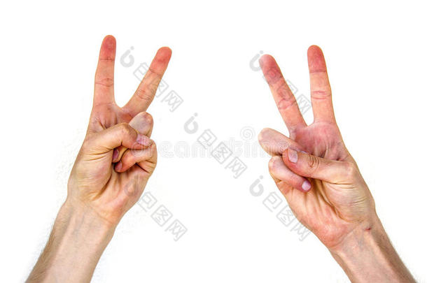 各种各样的手势使在旁边手,符号关于胜利,符号关于胜利在旁边