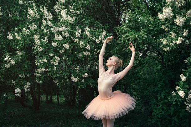芭蕾舞女演员跳舞在户外典型的芭蕾舞使摆姿势采用花陆地