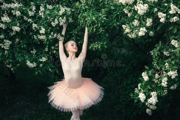 芭蕾舞女演员跳舞在户外典型的芭蕾舞使摆姿势采用花陆地
