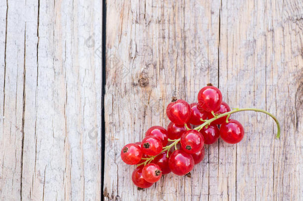 红色的小葡萄干浆果向木材