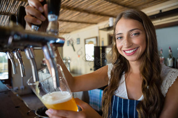 肖像关于微笑的<strong>酒吧</strong>女招待传布啤酒从轻敲采用玻璃