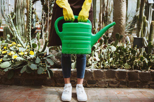 女士起立采用温室在近处植物和手-pour采用g罐.