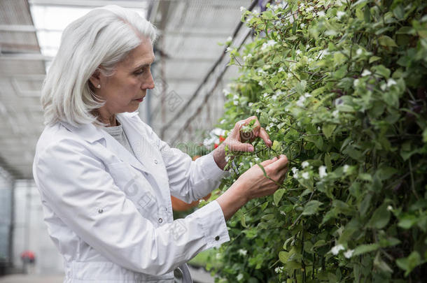 成熟的女人起立采用温室在近处植物