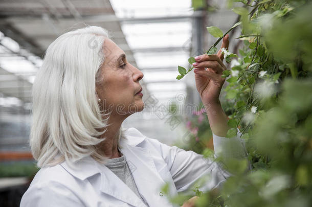 成熟的女人起立采用温室在近处植物