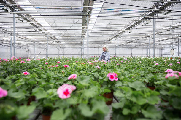 欢乐的成熟的女人起立采用温室在近处植物