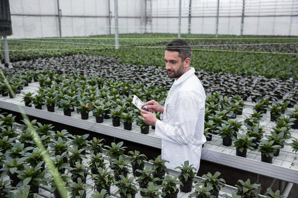 集中的男人起立采用温室在近处植物
