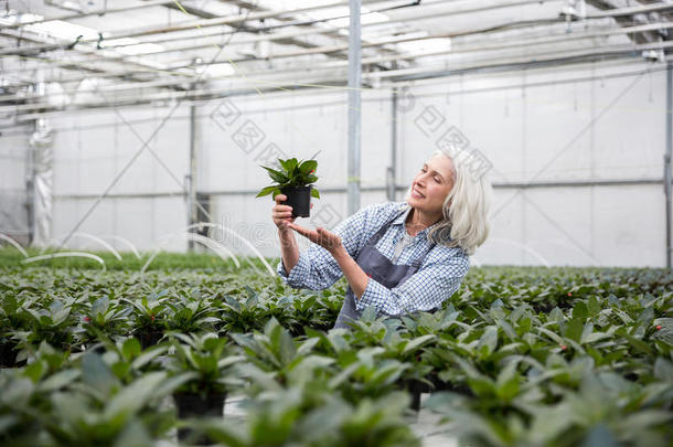 成熟的女人起立采用温室在近处植物