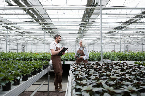 幸福的男人起立采用温室在近处植物