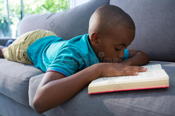 男孩阅读小说在期间说谎向沙发在家
