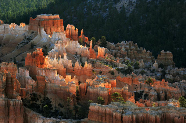 Canyon国家的公园布赖斯峡谷国家公园国家的公园照耀的岩石&不祥的人或物