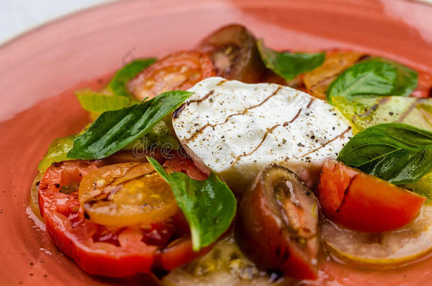 <strong>红白</strong>小碟沙拉番茄和意大利干酪部分和罗勒属植物