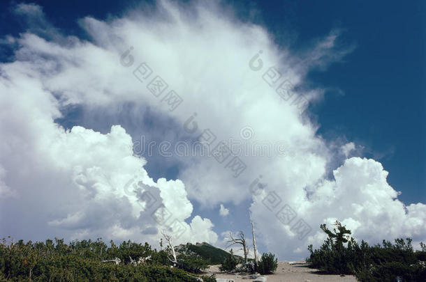 云建筑物在上面猛玛山顶,茅房缪尔<strong>地貌</strong>名称荒野,西尔