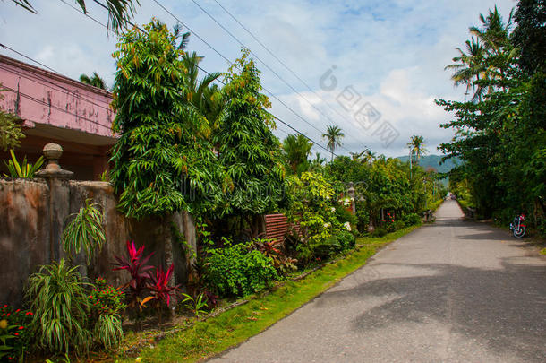 乡下的路和住宅采用指已提到的人Philipp采用es.露兜树,班乃岛