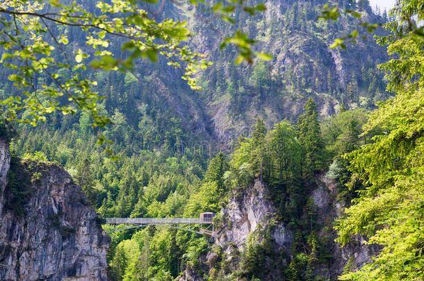 旅行者脚桥大约内斯奇旺斯坦城堡采用指已提到的人巴伐利亚