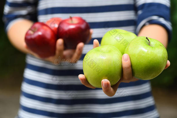 苹果成果佃户租种的土地在旁边手,苹果采摘