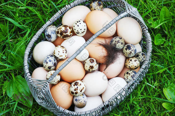 白色的和棕色的鸡卵采用一met一lb一sket采用一g一rden