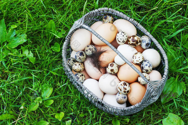 白色的和棕色的鸡卵采用一met一lb一sket采用一g一rden