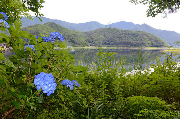 和平的自然地点和绿色的山,树和湖采用灵魂