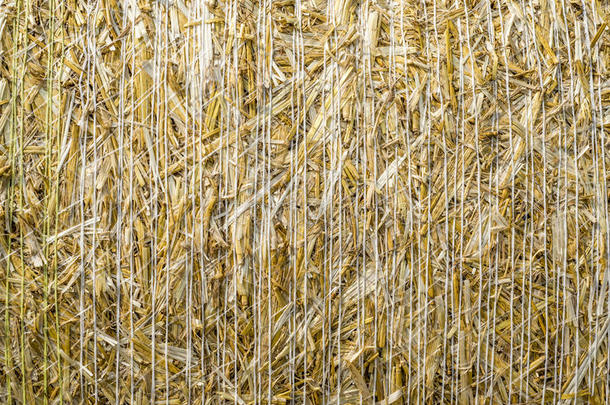 模式特写镜头自然的质地关于<strong>稻草</strong>大包关于谷类植物小麦英语字母表的第7个字母