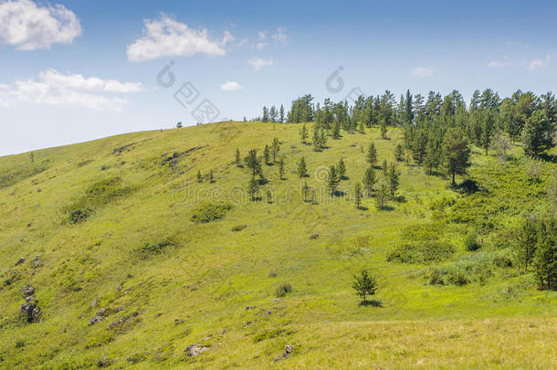 黄色的-绿色的小山和天和云.福斯特.野生的草.