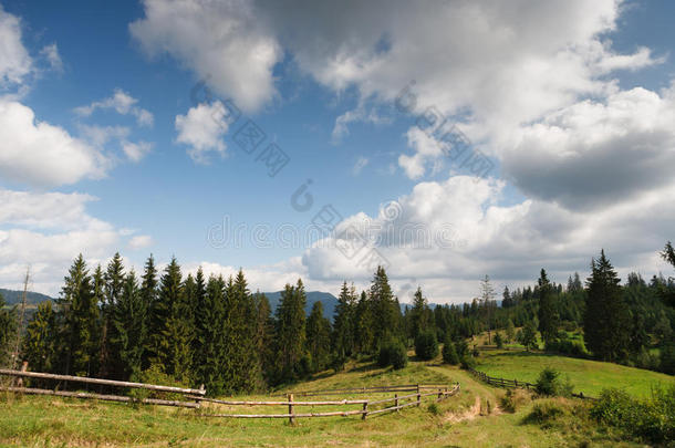 夏国家风景背景.<strong>一路</strong>向森林.