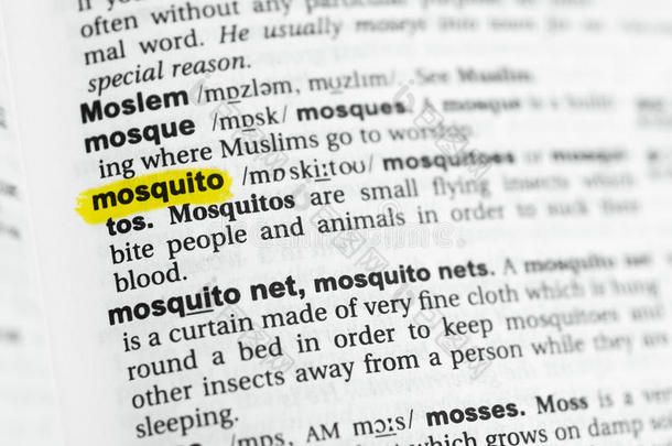 突出的英语单词`蚊子`和它的定义在指已提到的人diameter直径