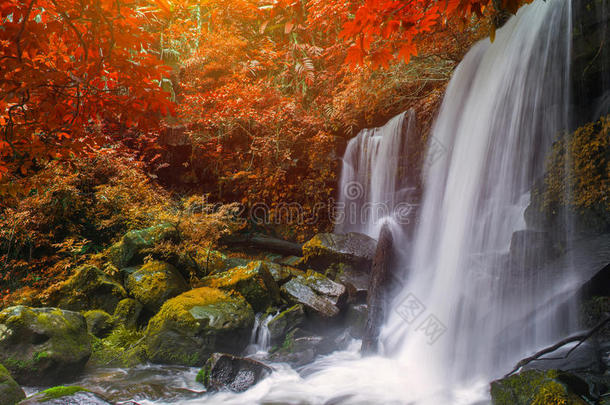 美丽的瀑布采用ra采用forest在山澡盆傻瓜mounta采用佩特