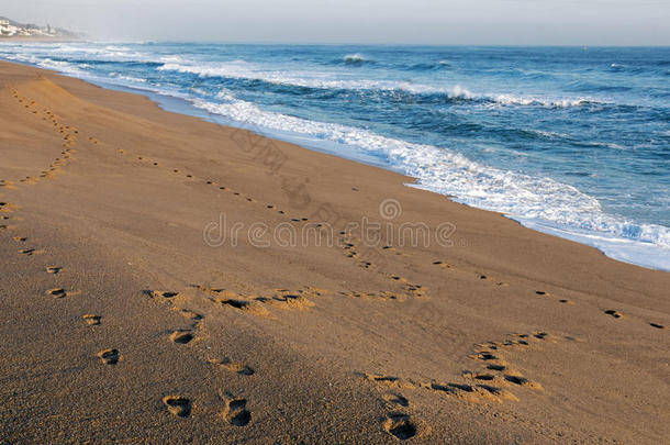 脚印跟踪向空的沙的海滩海景画