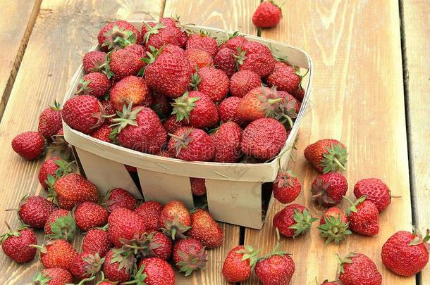 一成熟的草莓是（be的三单形式采用一sm一llb一sket