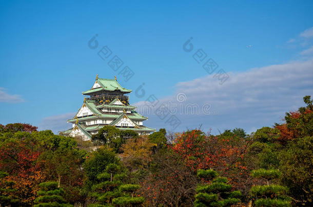 大阪城堡和蓝色天背景在大阪,黑色亮漆