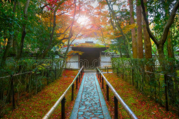 秋在十三弦古筝-采用庙采用京都,黑色亮漆