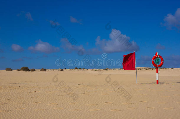 游泳圆.生活浮标红色的颜色向海滩和明亮的沙一